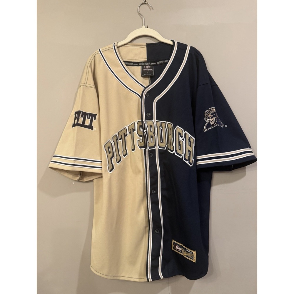 Vintage Y2K Pitt Panthers NCAA Pittsburgh Color Block H2P Baseball Jersey L